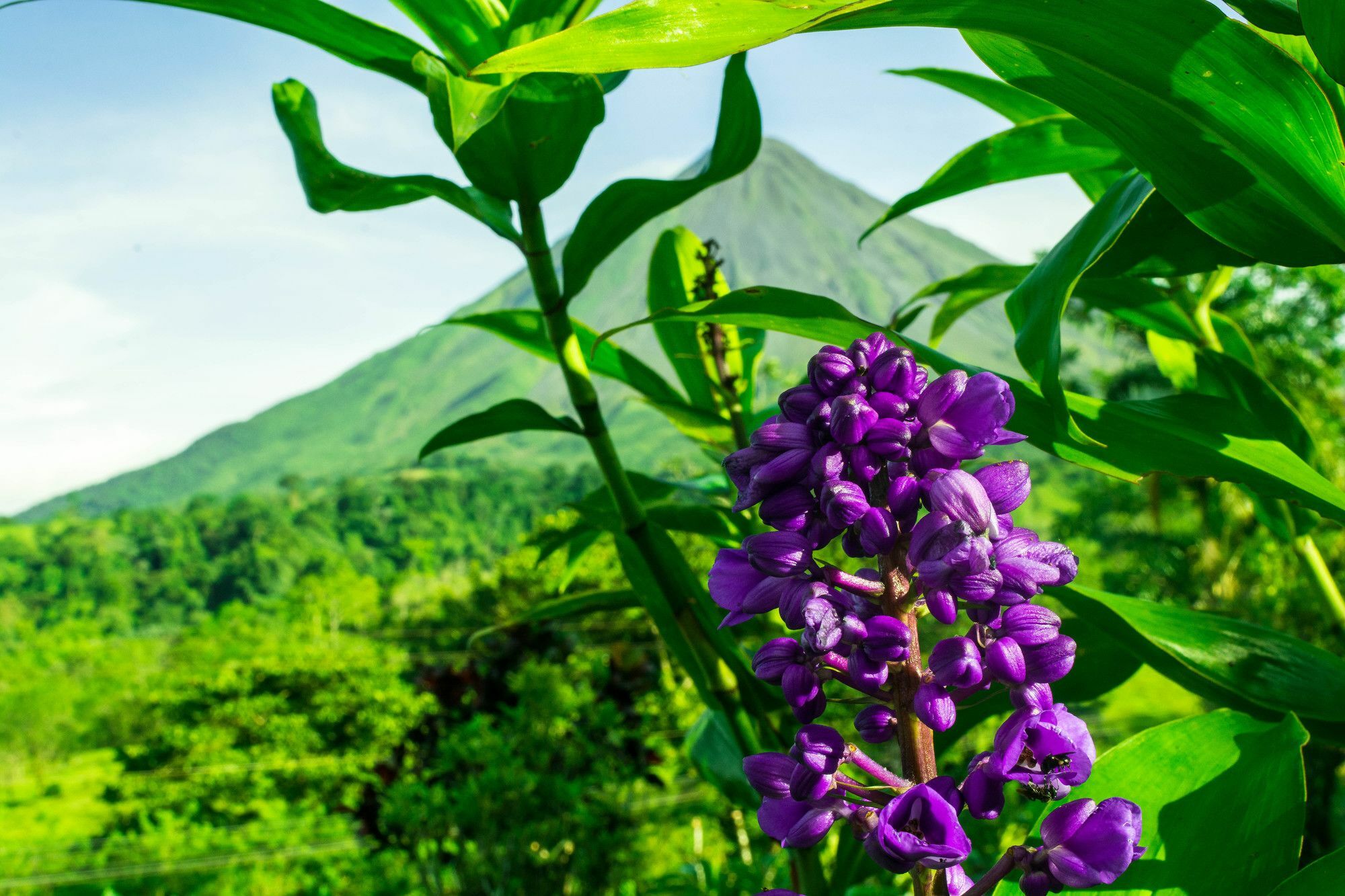 Arenal Bungalows La Fortuna ภายนอก รูปภาพ