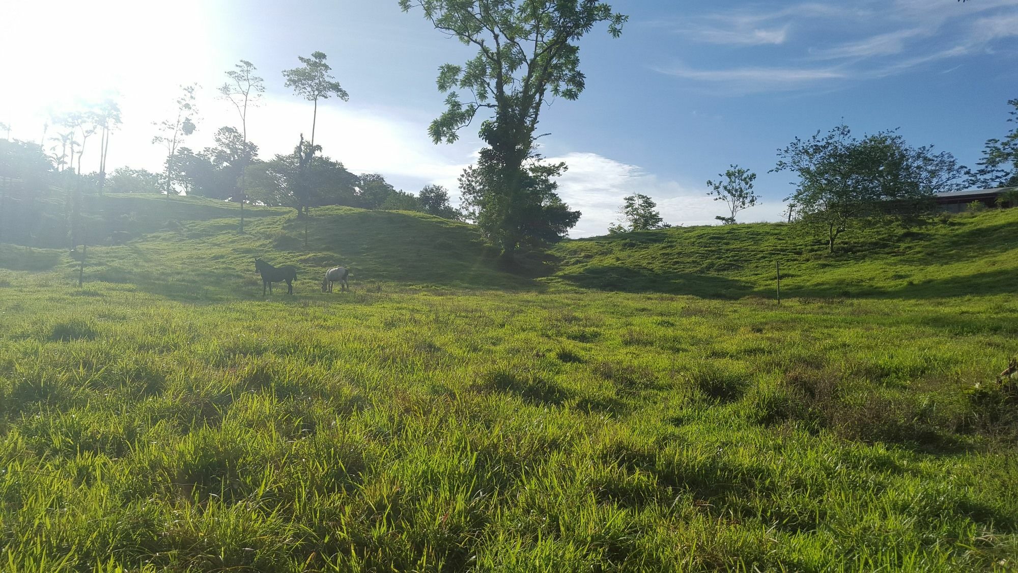 Arenal Bungalows La Fortuna ภายนอก รูปภาพ